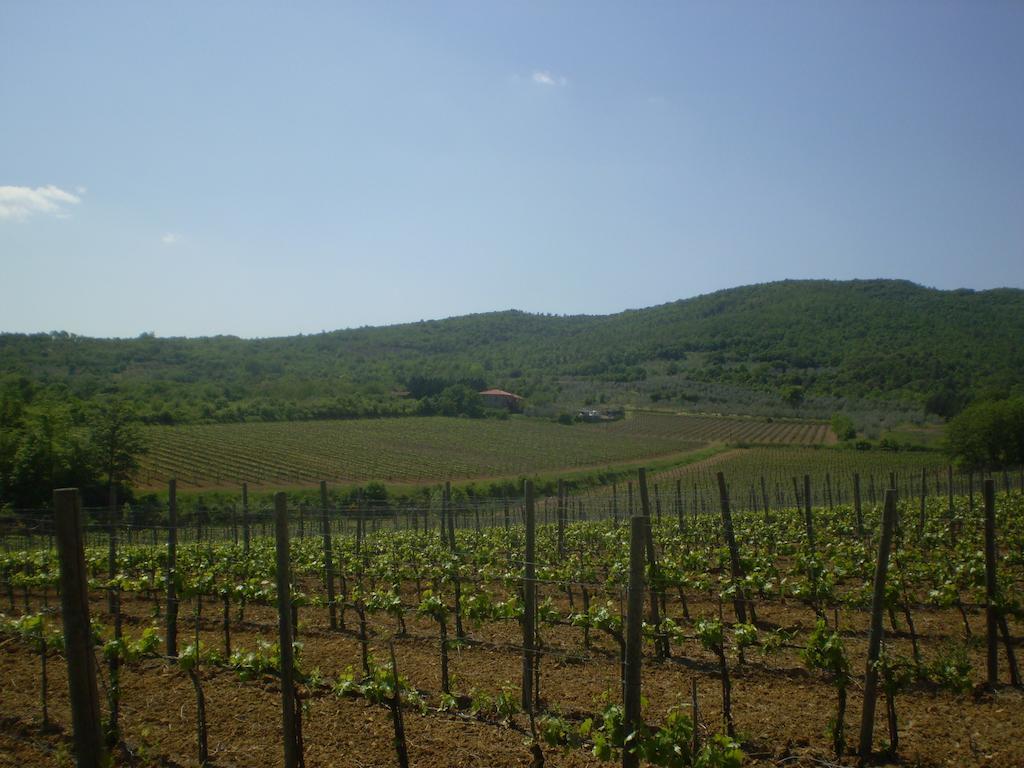 Villa Agriturismo La Cella Arezzo Exterior foto